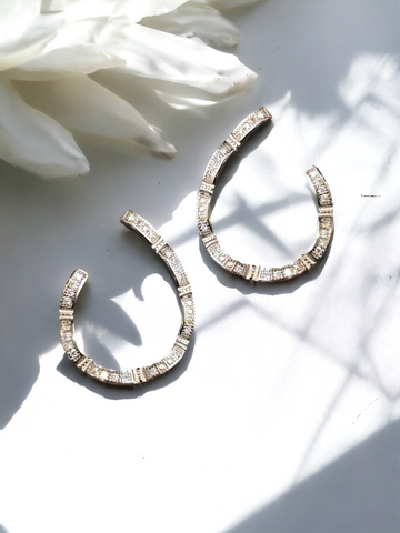 Silver Glamorous Oval Earrings - 4